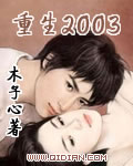 木子心小说《重生2003》
