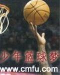 dreamwing小说《少年篮球梦》